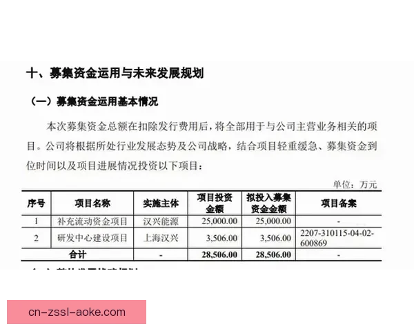里昂比赛推迟影响布尔格赛程调整引发多方关注与后续安排讨论